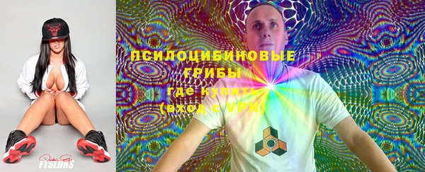 прущие грибы Алексеевка