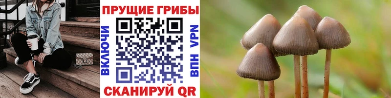 Галлюциногенные грибы прущие грибы  даркнет сайт  shop официальный сайт  Красный Кут 
